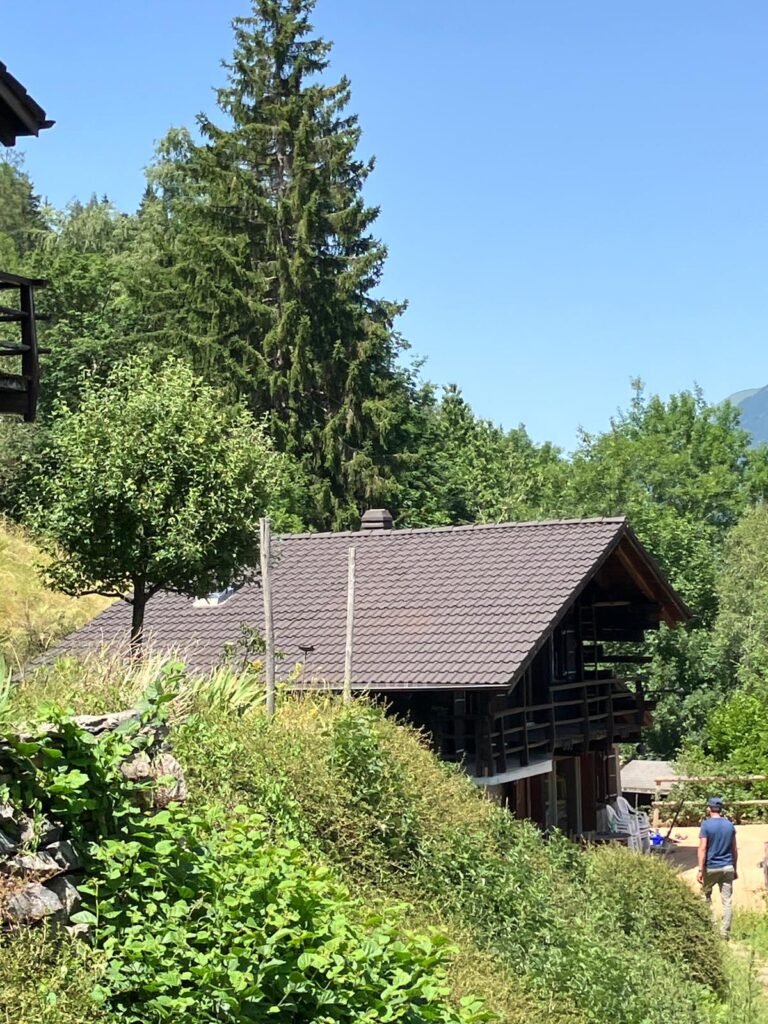 entretien par résine toiture chalet montreux